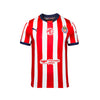 PUMA Chivas Home Youth Soccer Jersey 25 26 Red