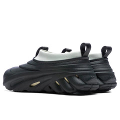 Echo Storm Kelp
