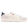 Indoor Frosted Ivory Vapor Grey