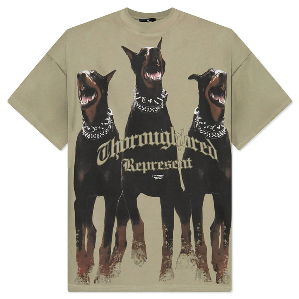 Thoroughbred T Shirt Khaki