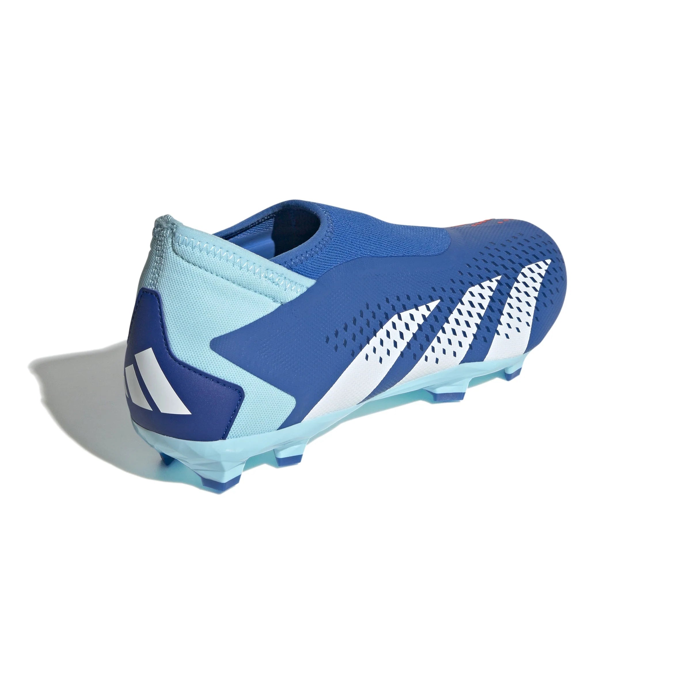 adidas Predator Accuracy3 Laceless FG Firm Ground Soccer Cleats Bright Royal Cloud White Bliss Blue