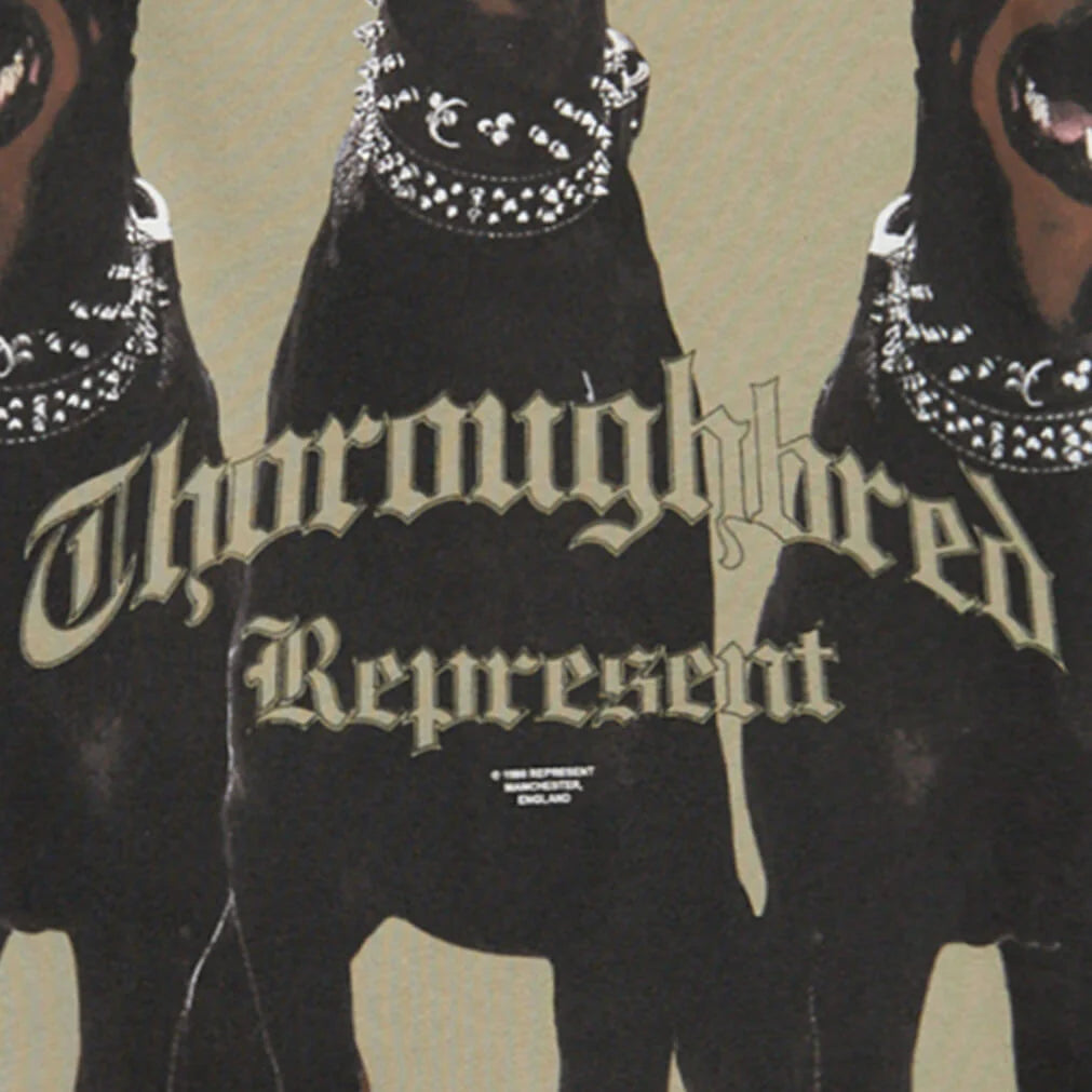 Thoroughbred T Shirt Khaki