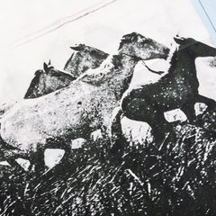 Stone Horse Button Down Blue