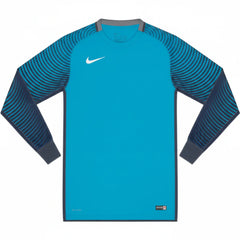 Nike Gardien Long Sleeve Goalkeeper Jersey Blue Grey