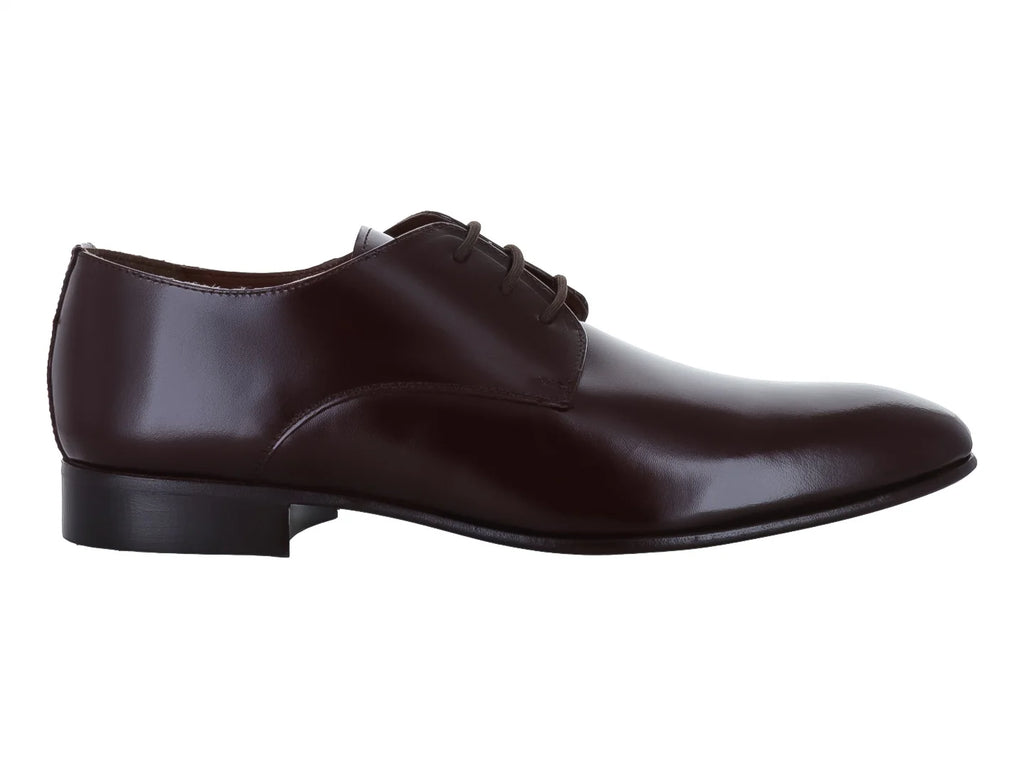Zapato Evolucion Color Café para Hombre