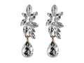 Aretes Largos Roze Color Plata para Mujer